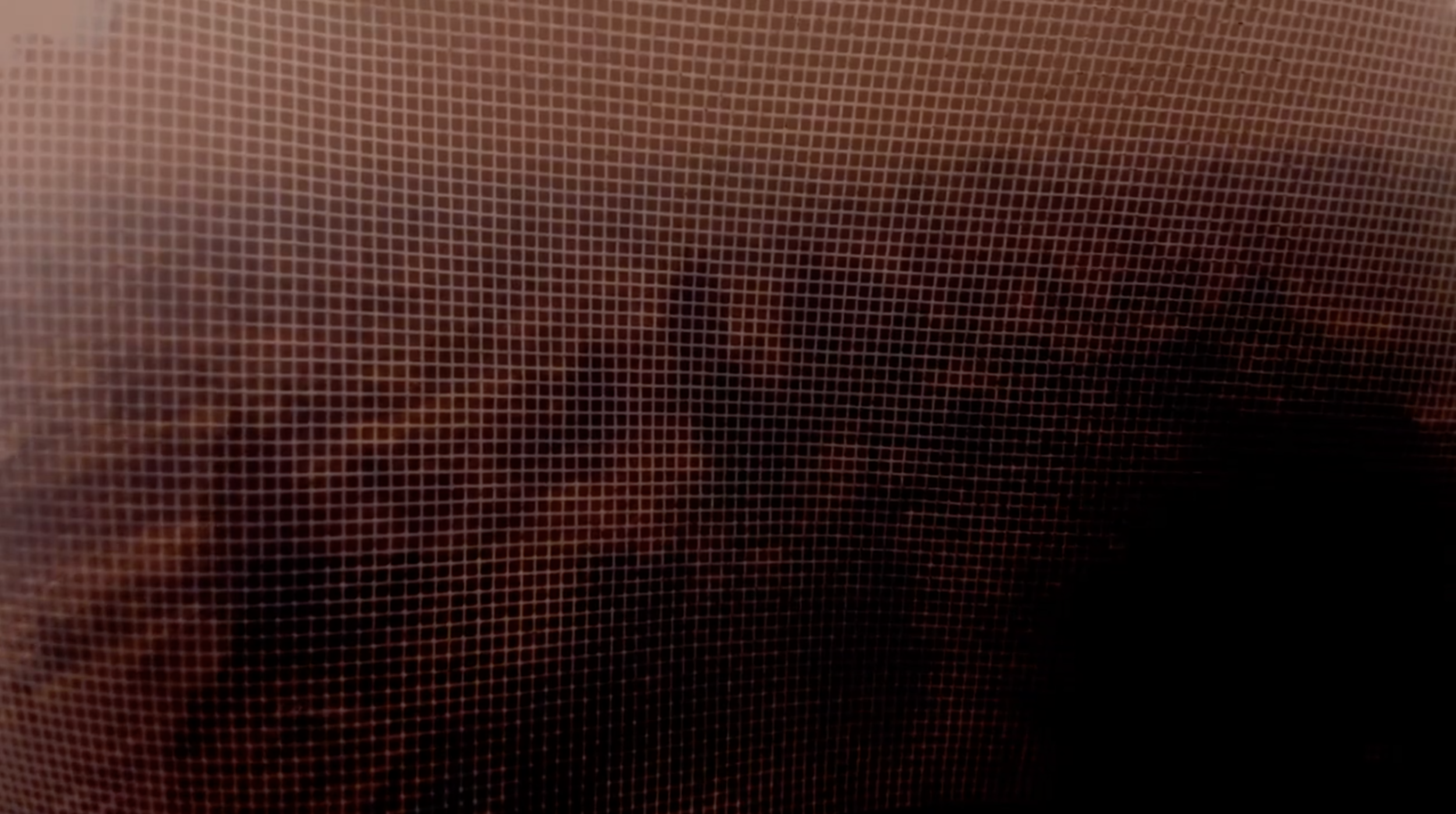 AAFF-STILL-07.png