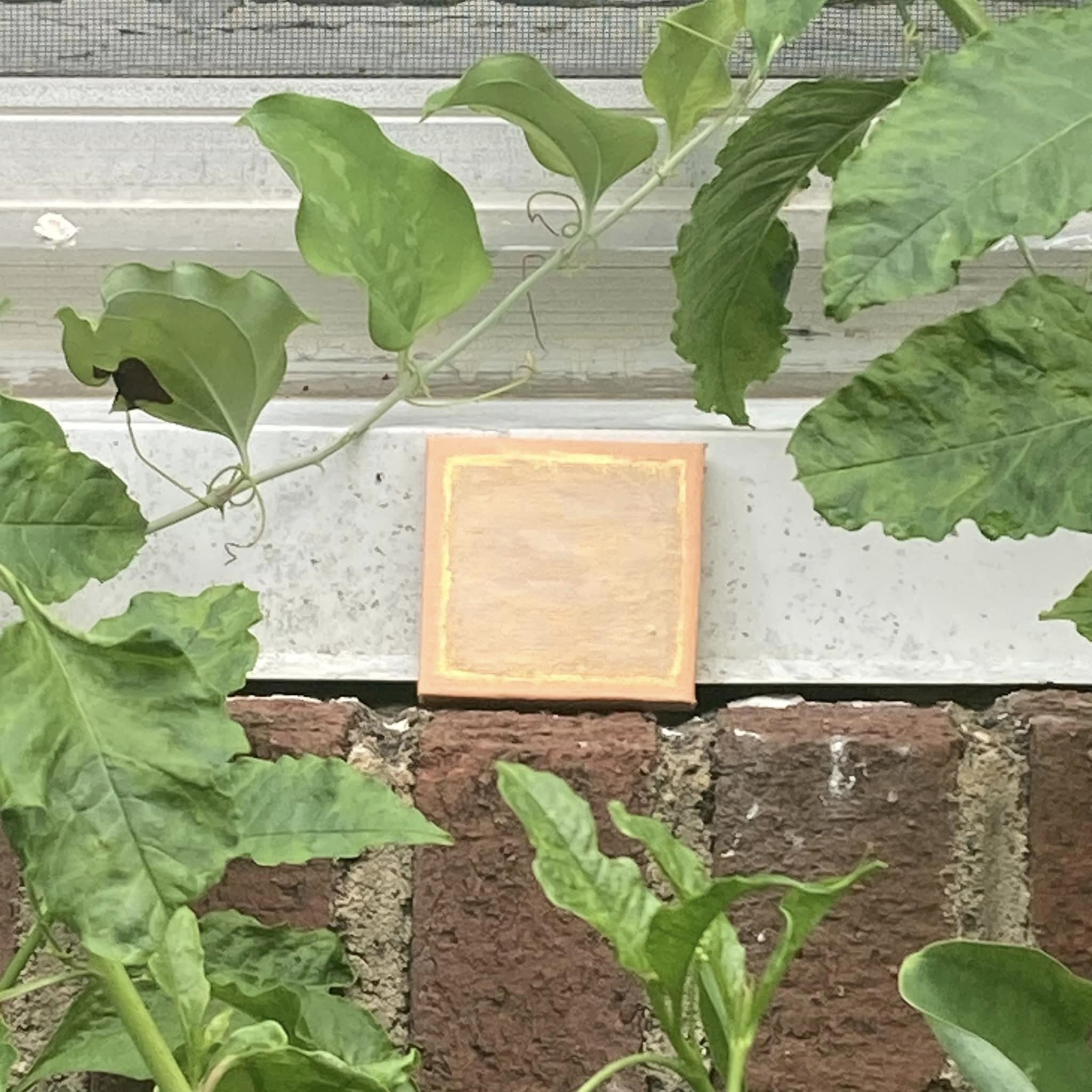 Miniature Homage to the Square