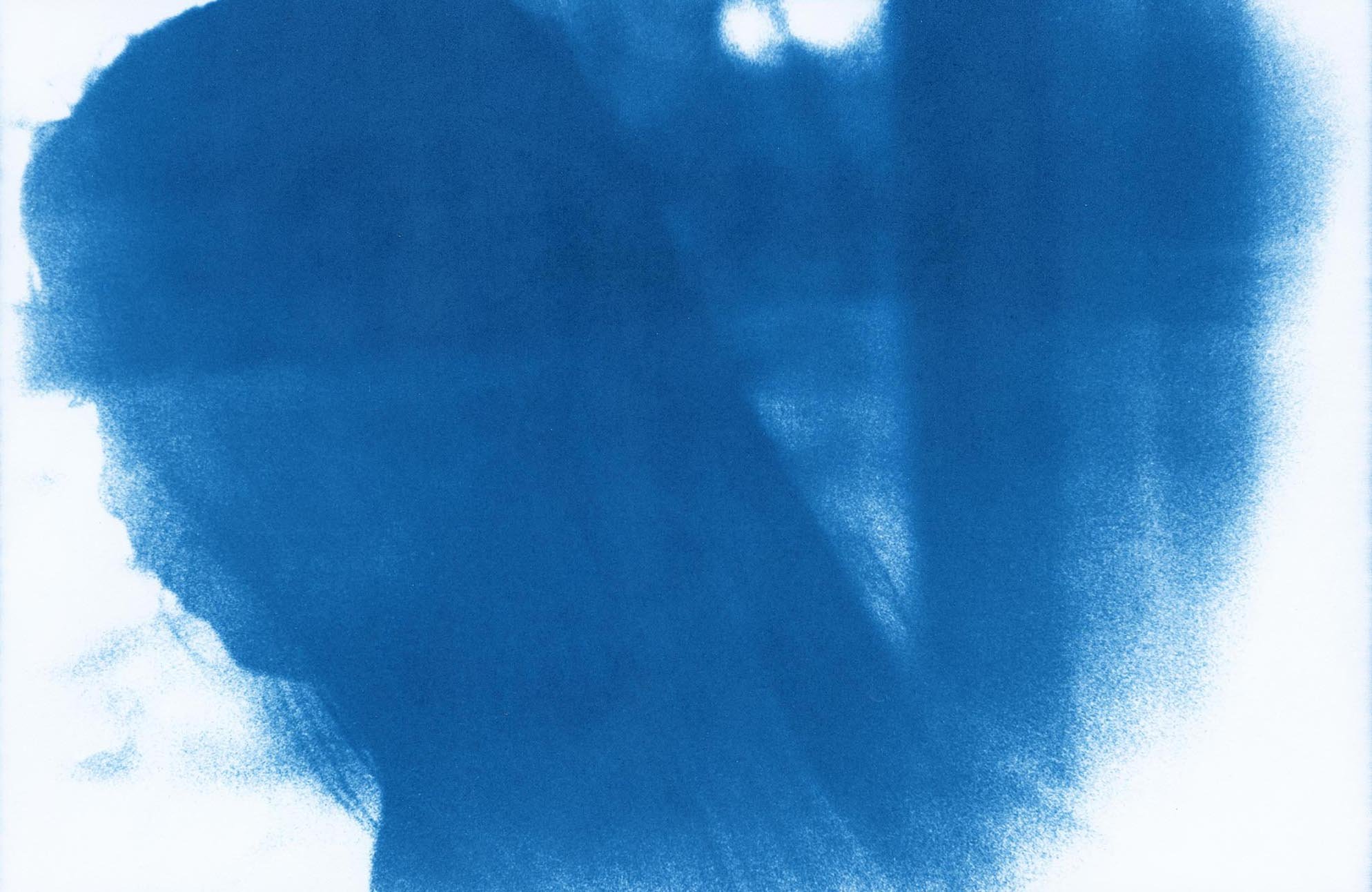 At the Lily Pools, Portrait #2  (2026) - Cyanotype on Hahnemühle Platinum Rag