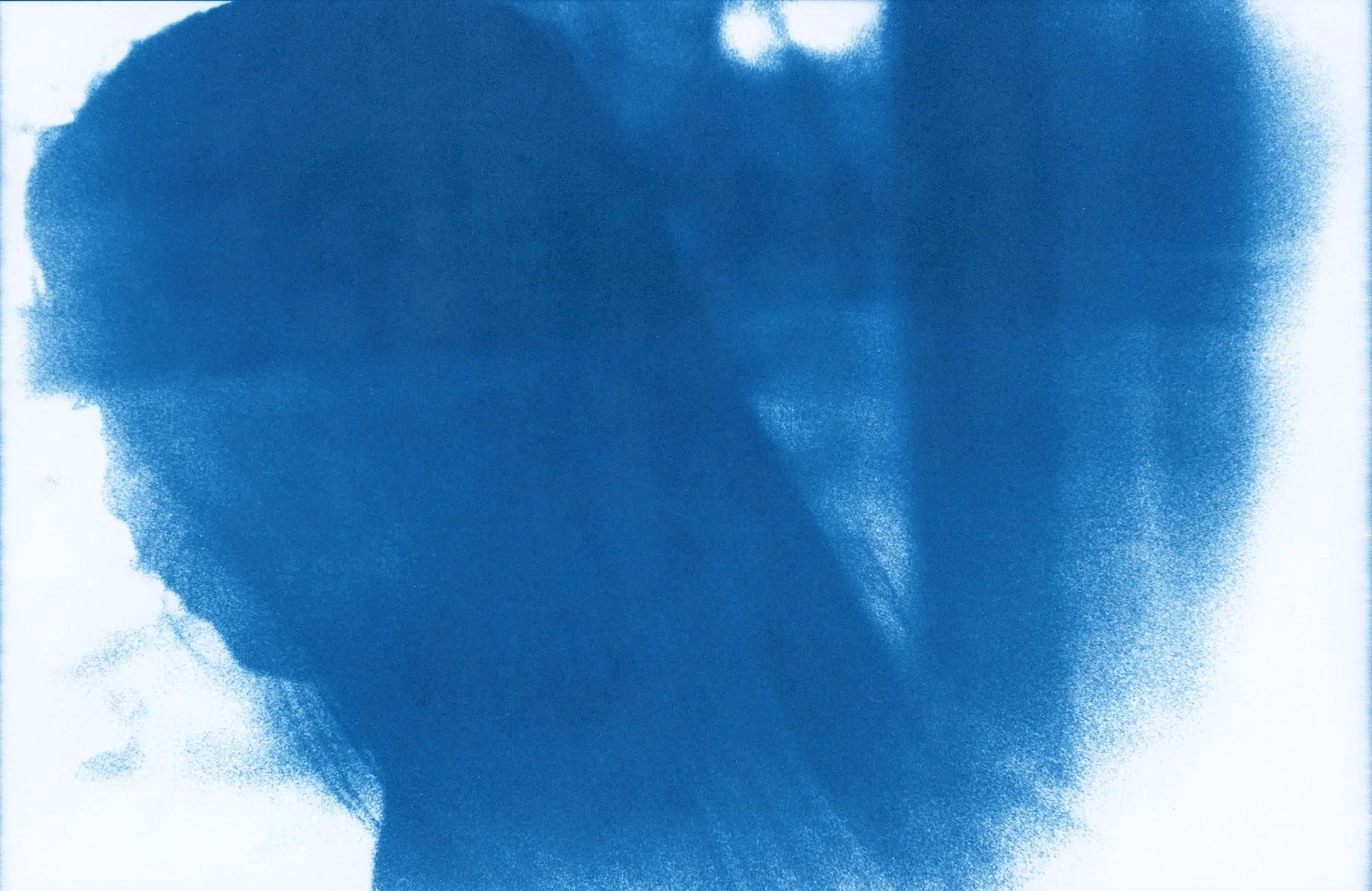 At the Lily Pools, Portrait #2 (2026) - Cyanotype on Hahnemühle Platinum Rag