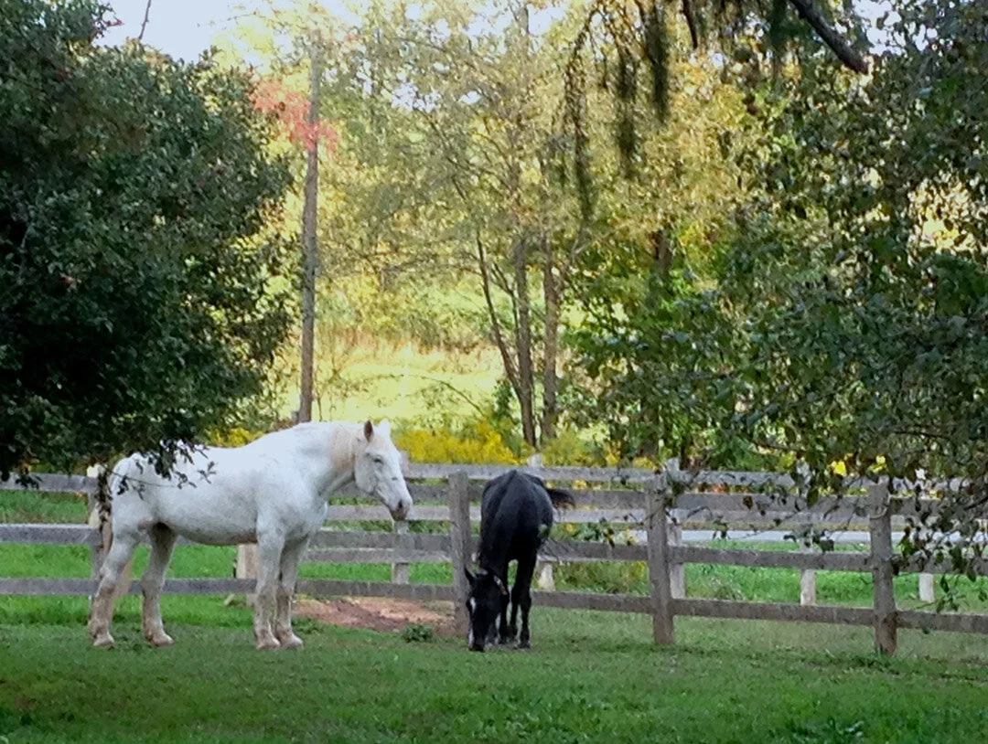 Annie&Coleorchard.JPG