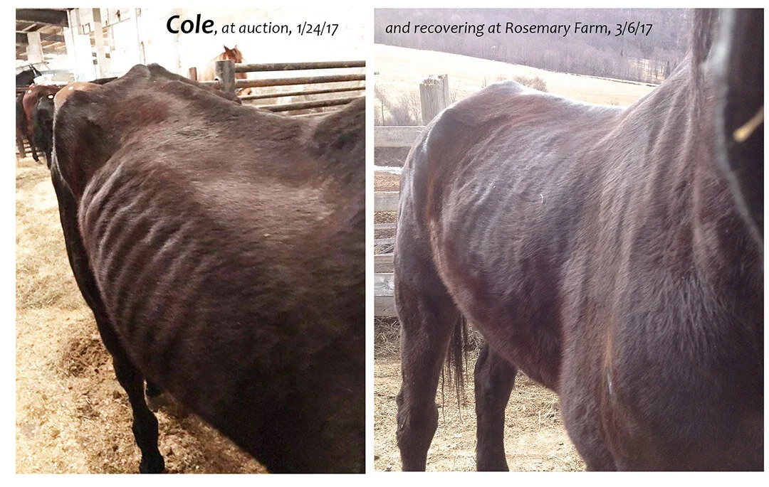 rehab-Cole6wks.jpg