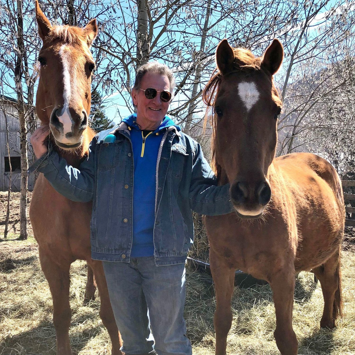Dan McCarthy - Natural Horsemanship Trainer