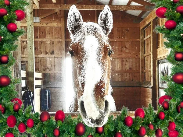 Holiday Open House