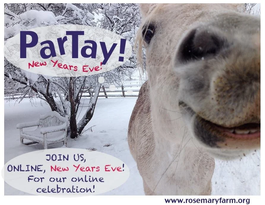 New Years Eve with Rosemary Farm!