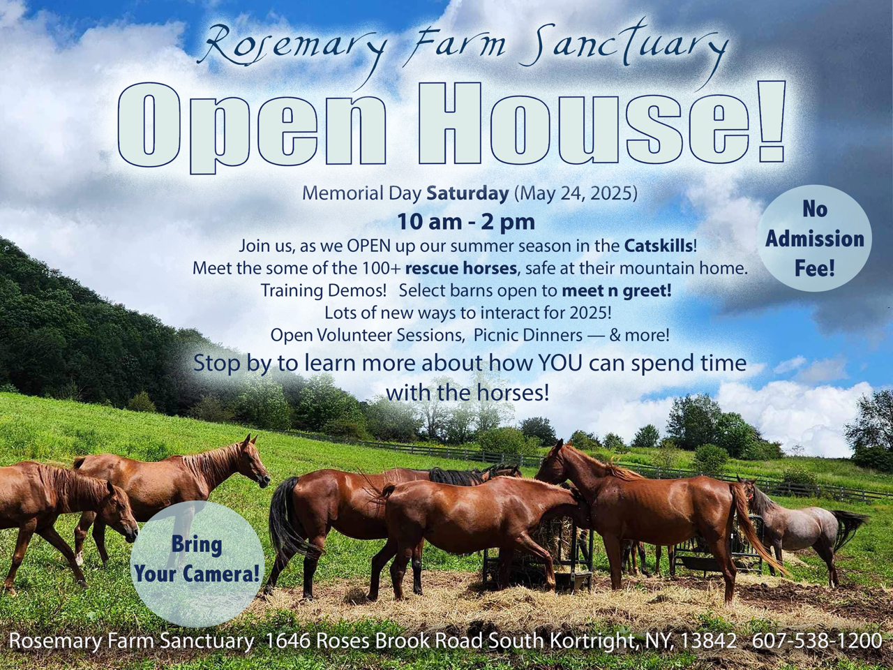Memorial Day Open House