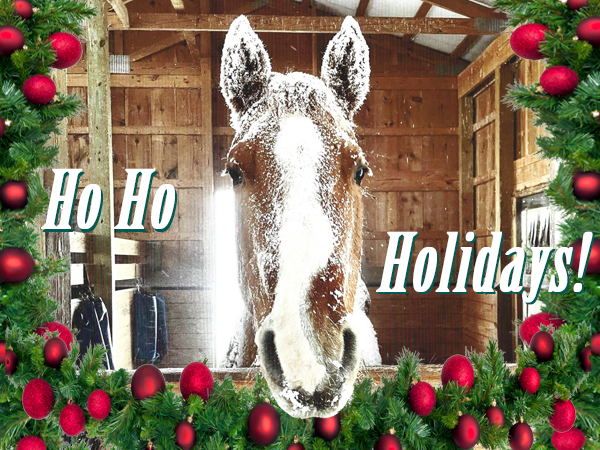 Holiday Open House