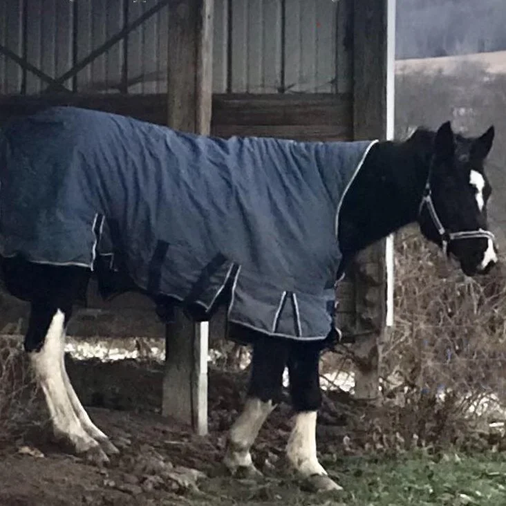 Plummy - December 2025