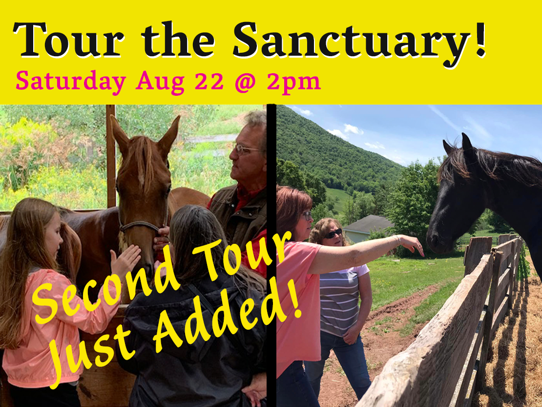 NEW TIME ADDED!
