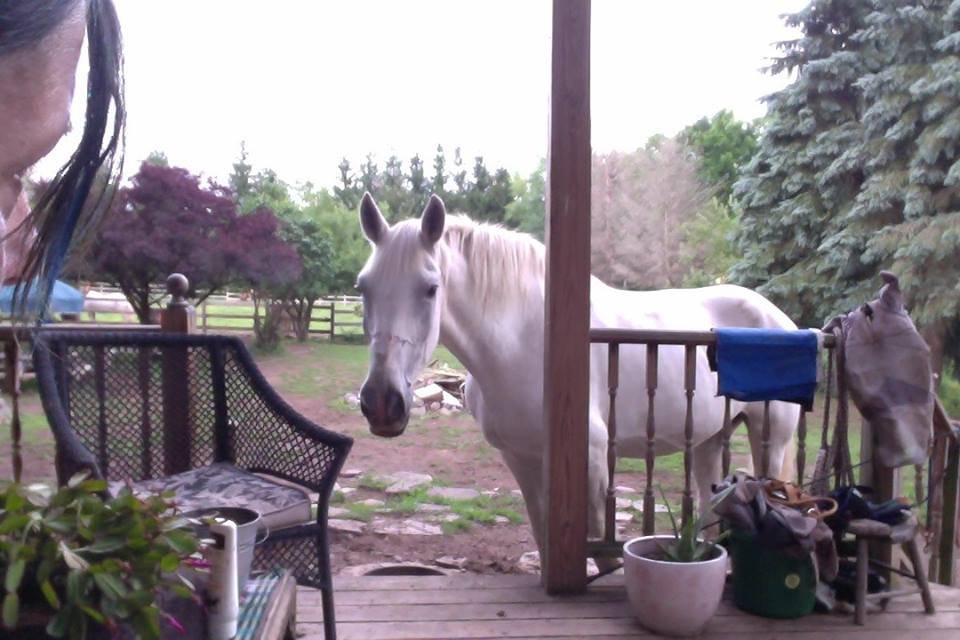 Annie at the Porch 2.jpg