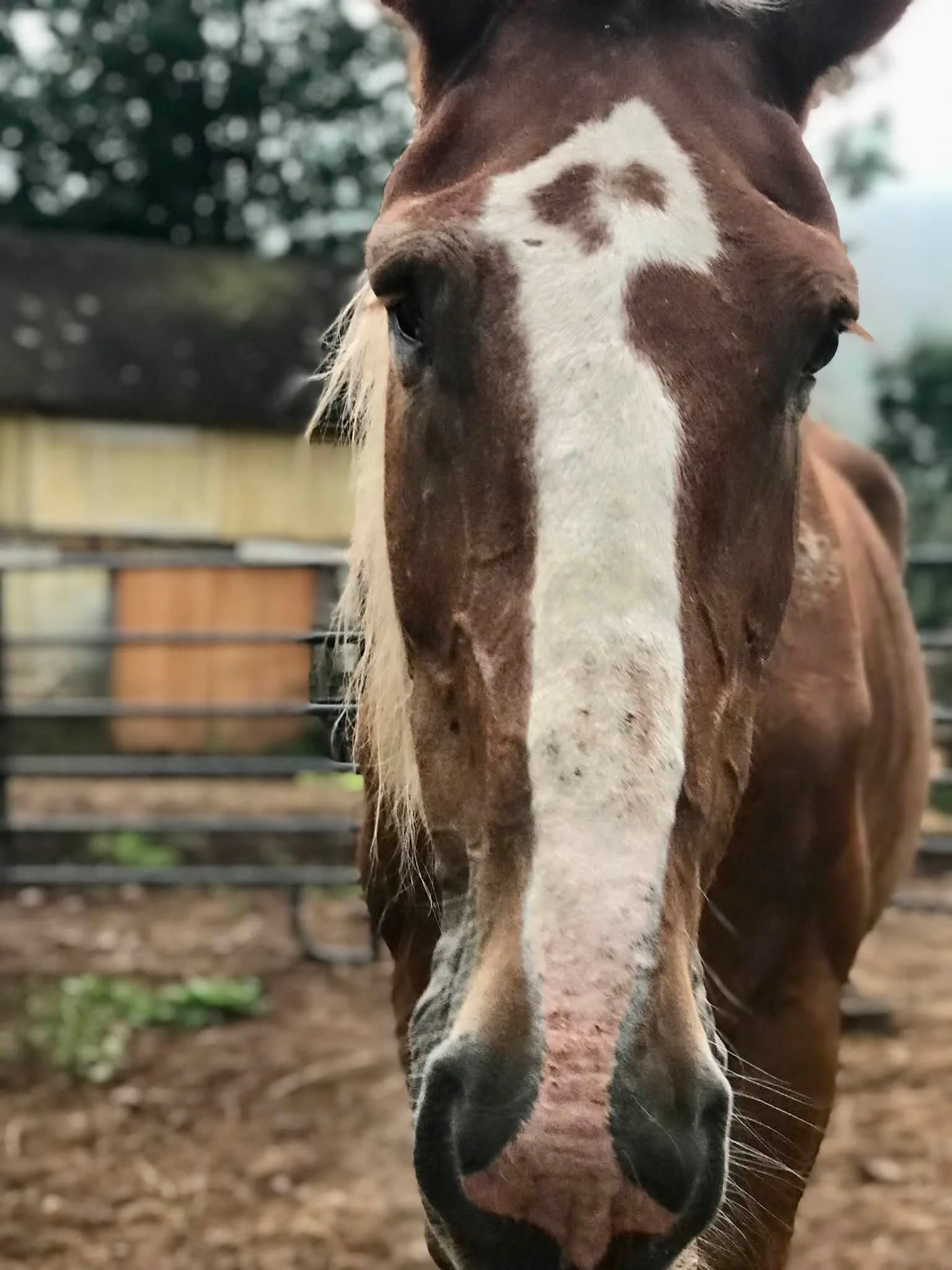 Dolly_Arrival_Headshot_Aug2026.jpg