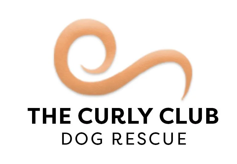 The Curly Club