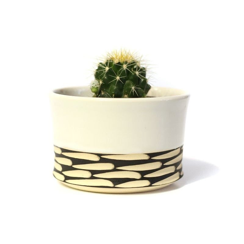 New planters are available to buy at @practicalartphx 

Practical Art is a local art space that features local AZ artists.
