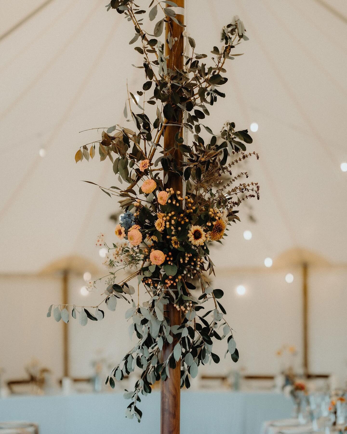 We love seeing how our couples bring our Hamptons to life! Such a beautiful colour palette for Bridgette and Riley. 

Feat our 10 x 15m Hampton 🧡

📷 @kennychick