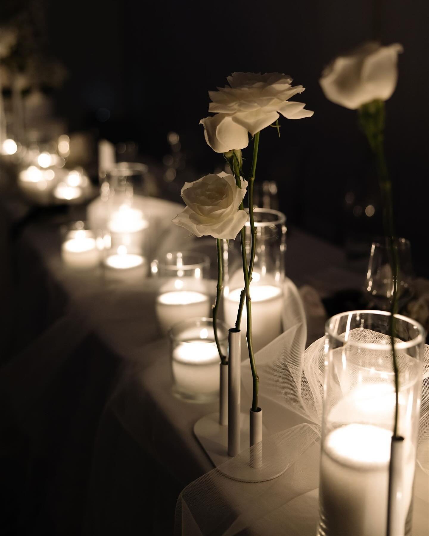 The magic of @revelandlight ✨
Adding the best touch of romance to any reception. 

Venue @puketutuislandestate 
Full planning @willowlane_events