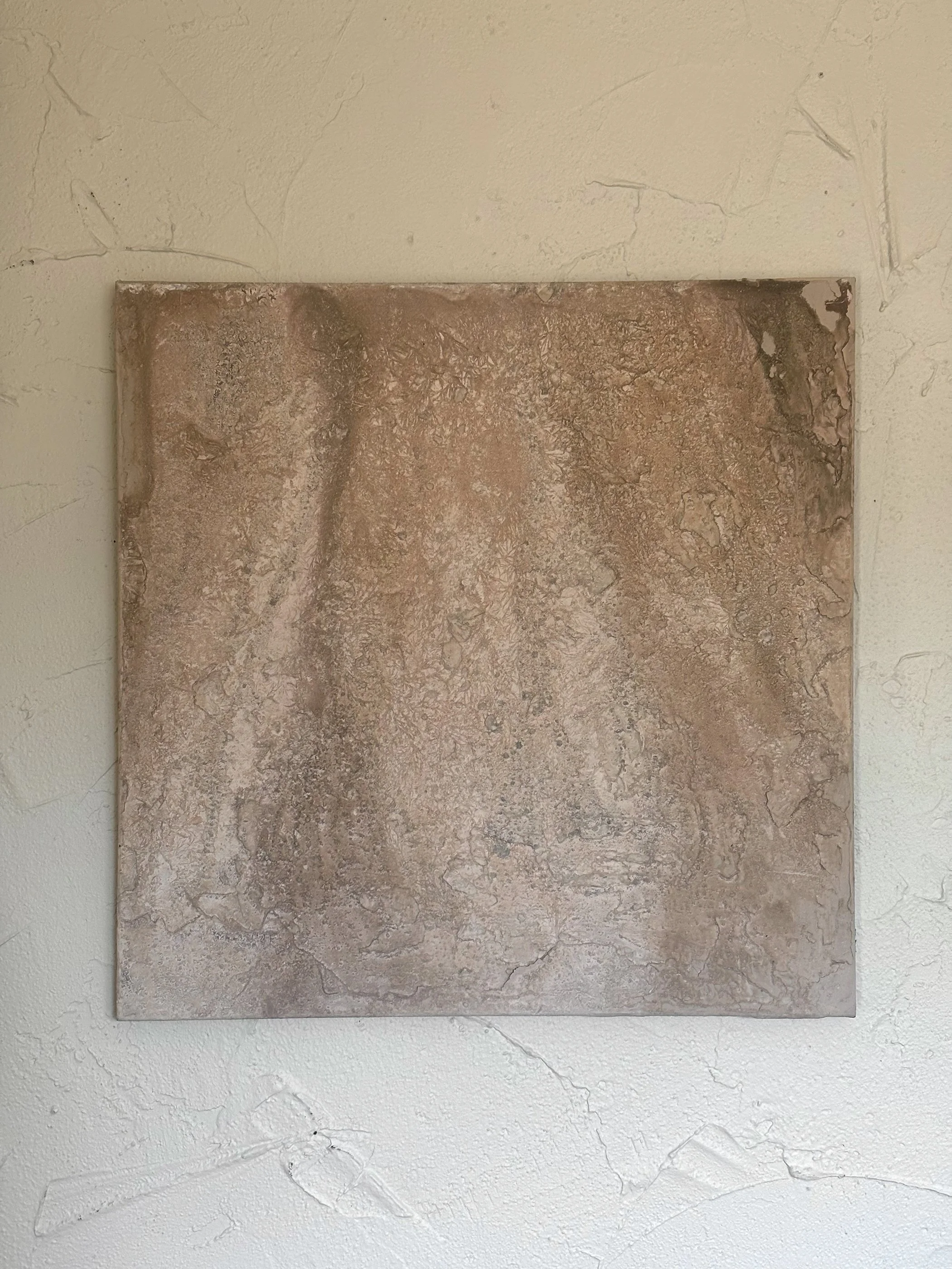 New Skin No. 2 - mixed media on canvas - 30 in x 30 in - 2026