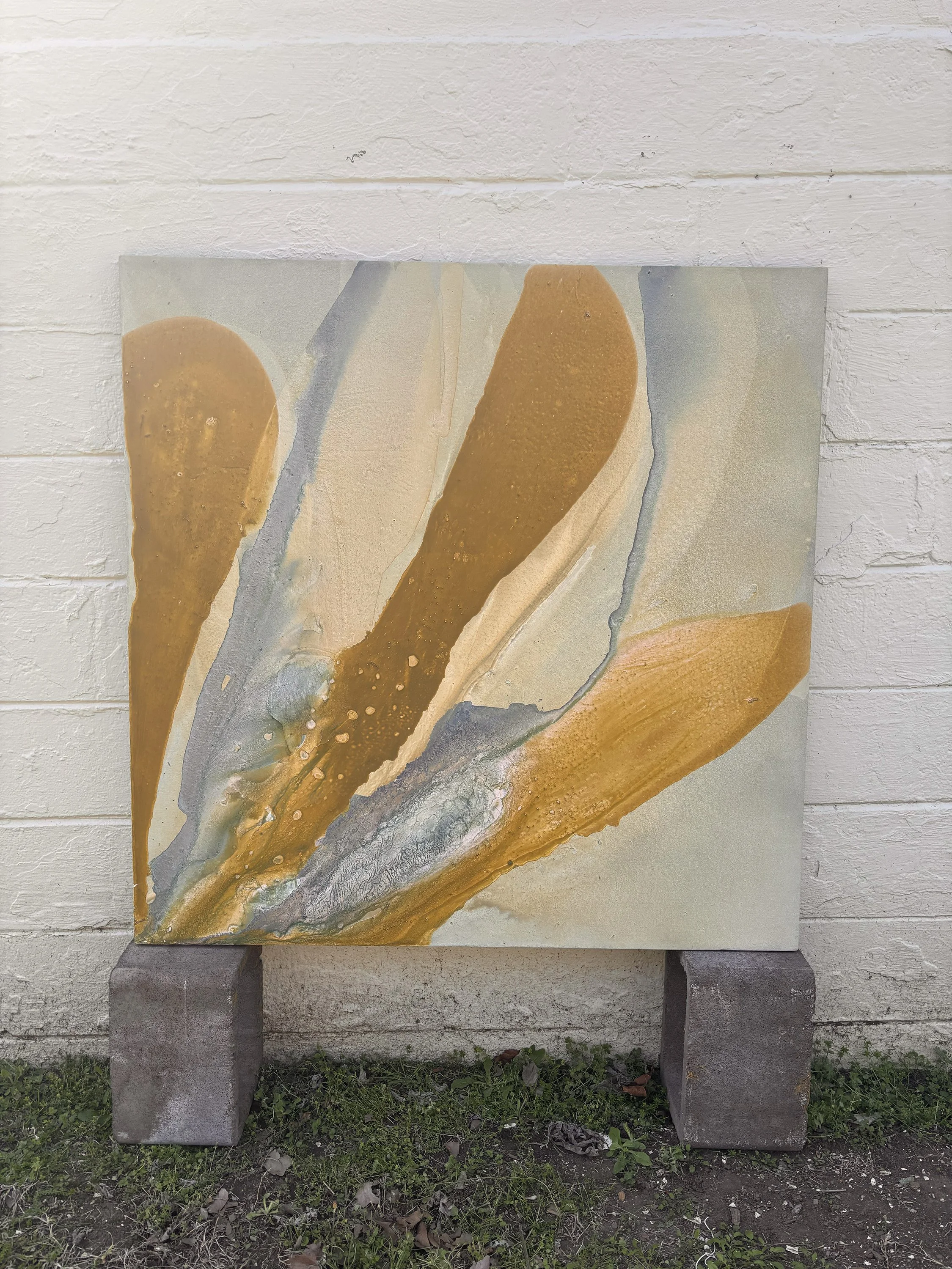 Signs of Sun No. 2 | mixed media on canvas - 44 in x 44 in - 2026