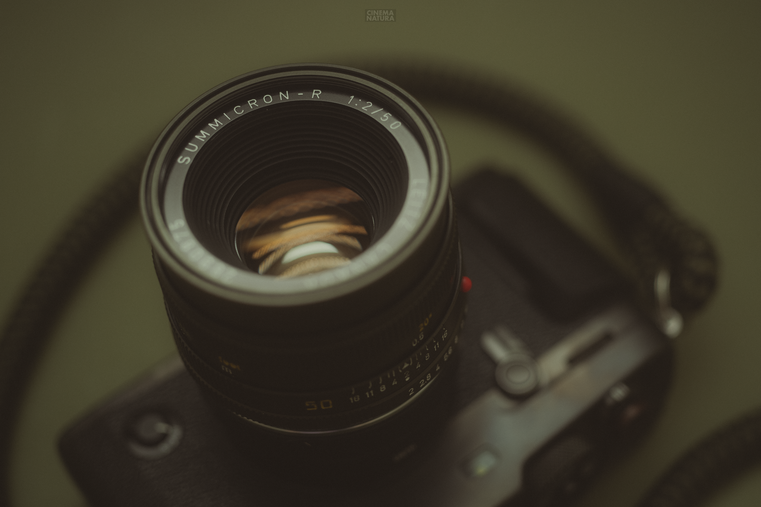 Leica (Leitz) Summicron-R 50mm f/2 II (Vintage Lens Review 