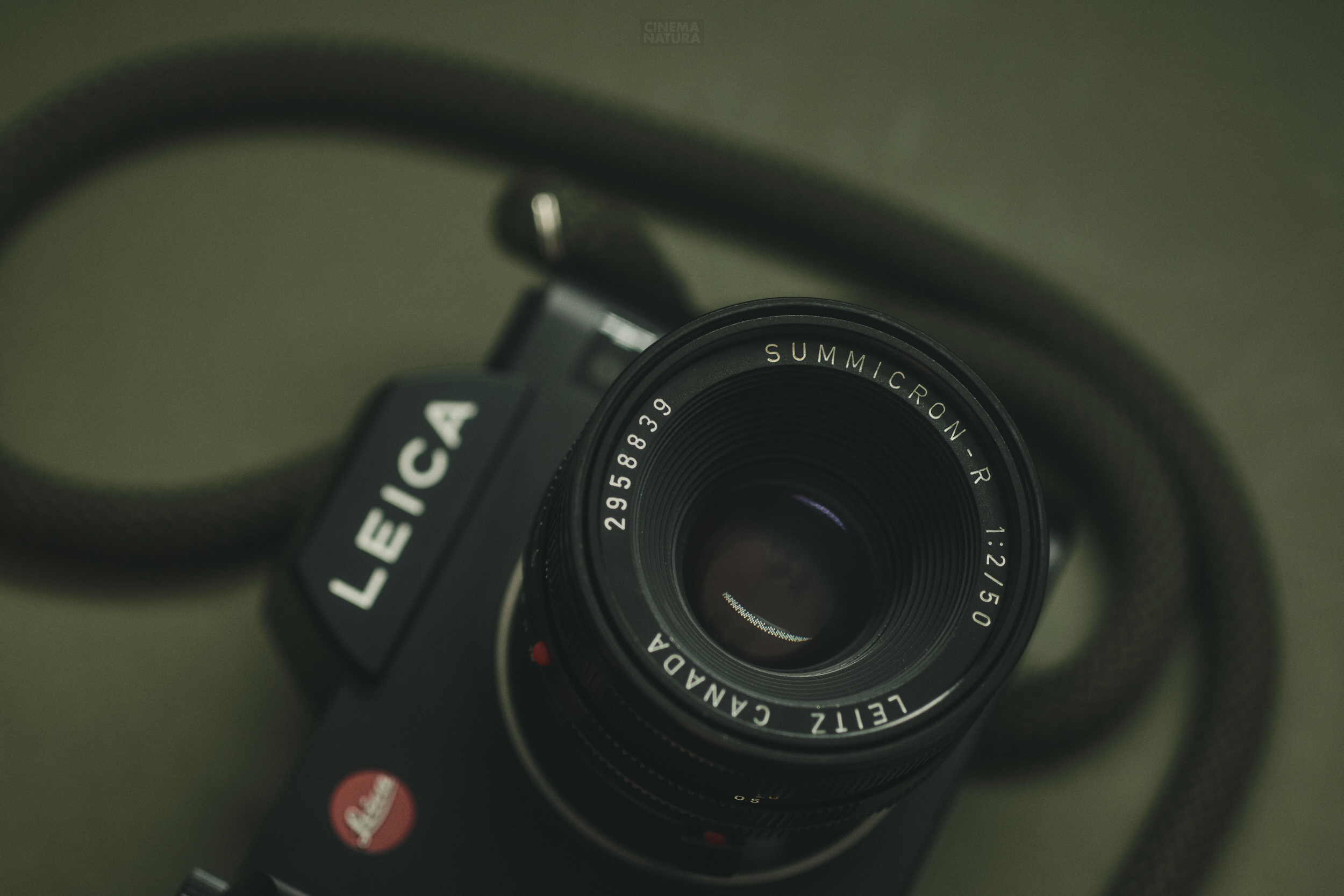 The Leica Summicron-R 50mm f/2 II + the Leica SL (Typ 601 