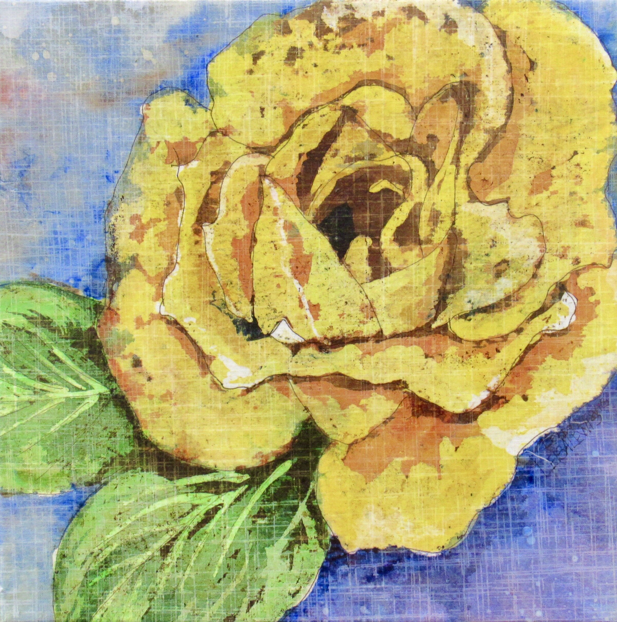 Friendly Rose