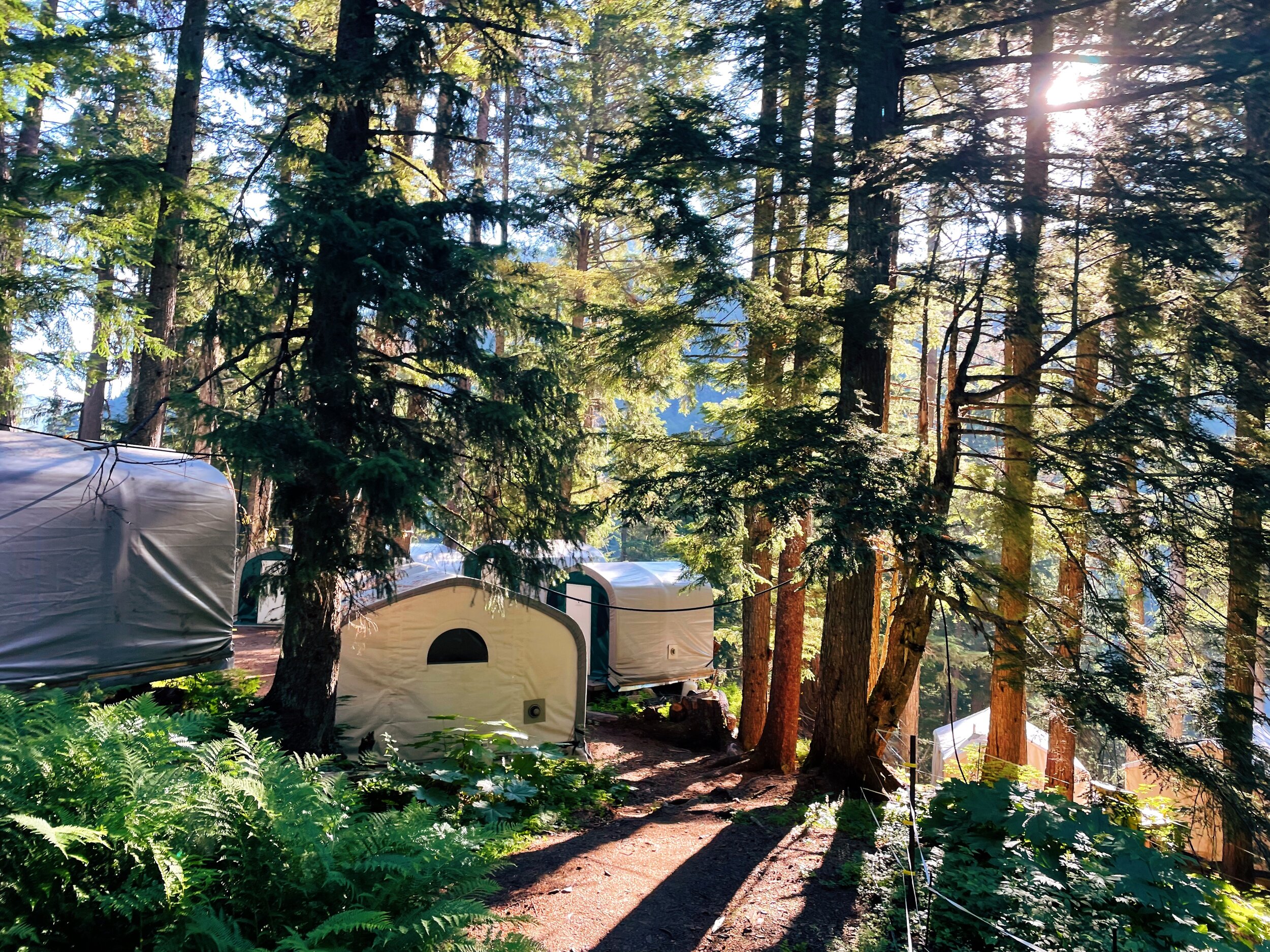 Basecamp