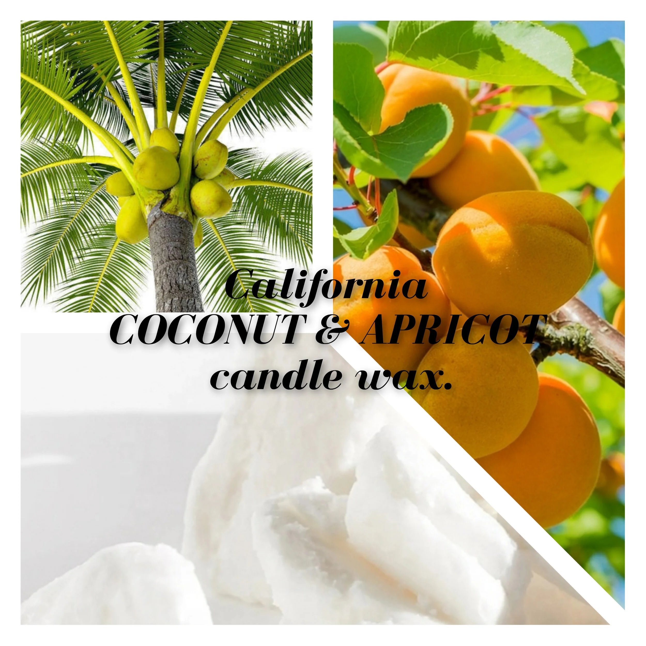 CocoNut Apricot Wax CocoNut Apricot Wax