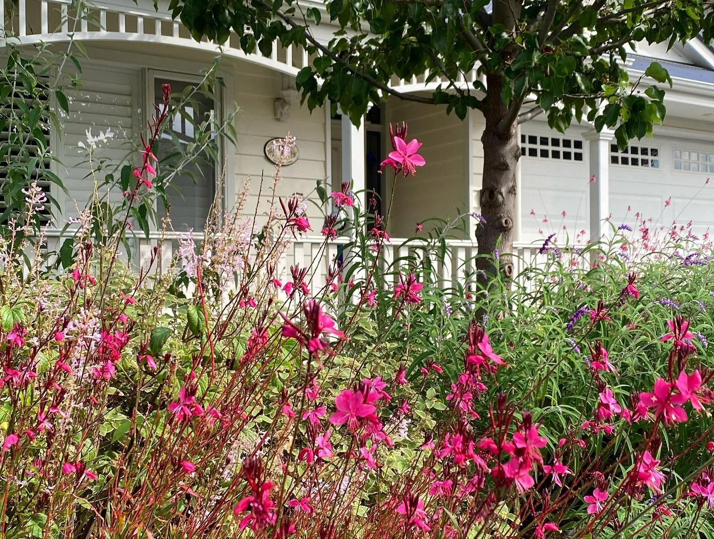 First summer of this brand new garden in Keysborough, Melbourne - third shot shows it pre planting and before the finials and paint were applied to the clusters of posts which playfully demarcate the boundary. 
Still some filling out to do but it sho