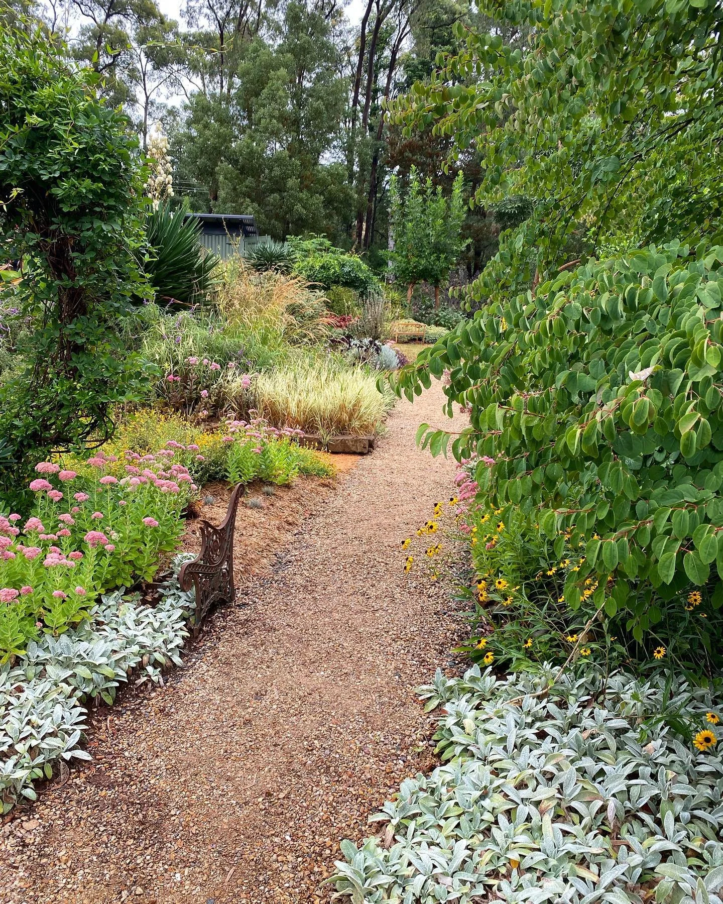 Volunteering for #globalgardensofpeace yesterday at the wonderful Brookdale Farm - the garden of John and Michelle Raynor (@johnprayner) and part of #opengardensvictoria 
The garden is a study in expectation and surprise&hellip;.compression and relea