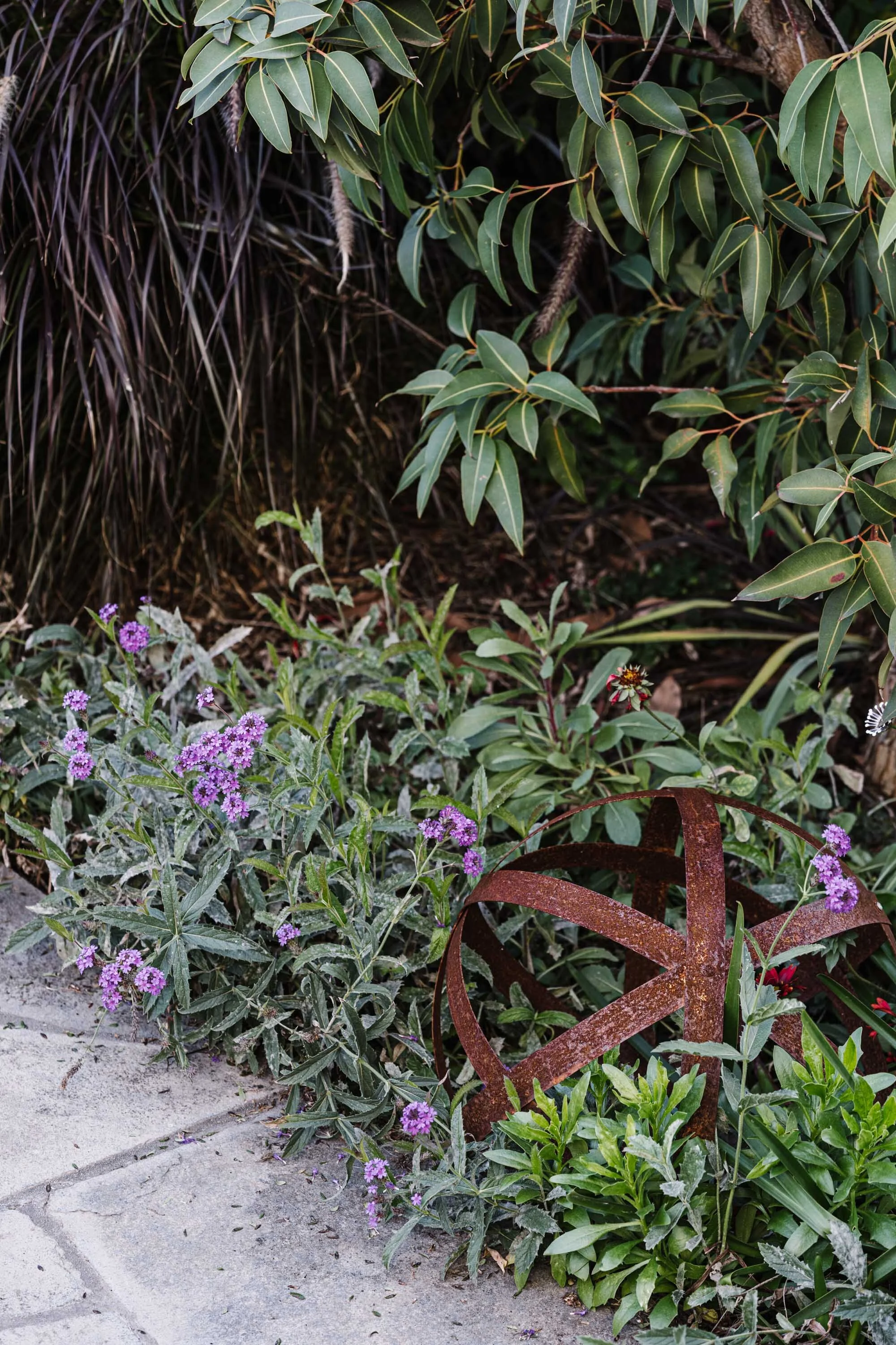 Garden Design Melbourne - Kath Baggaley Garden Design