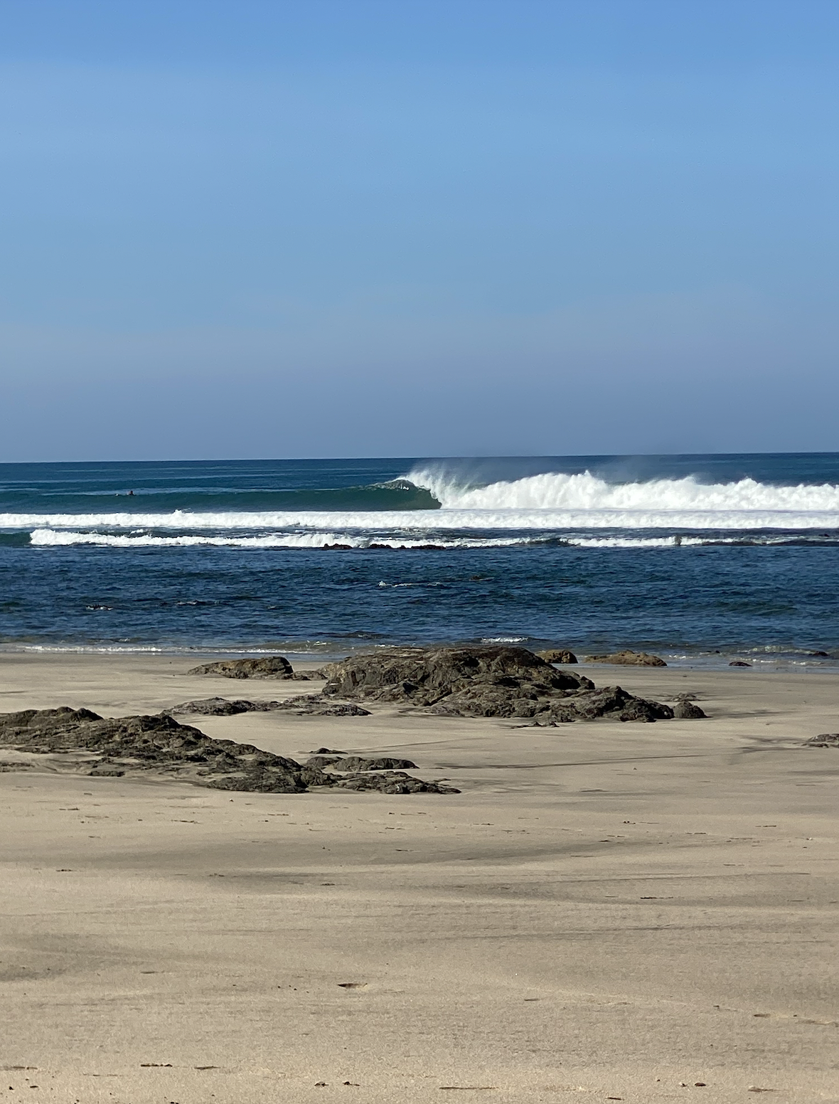 Screen Shot 2024-04-26 at 3.09.58 PM.png