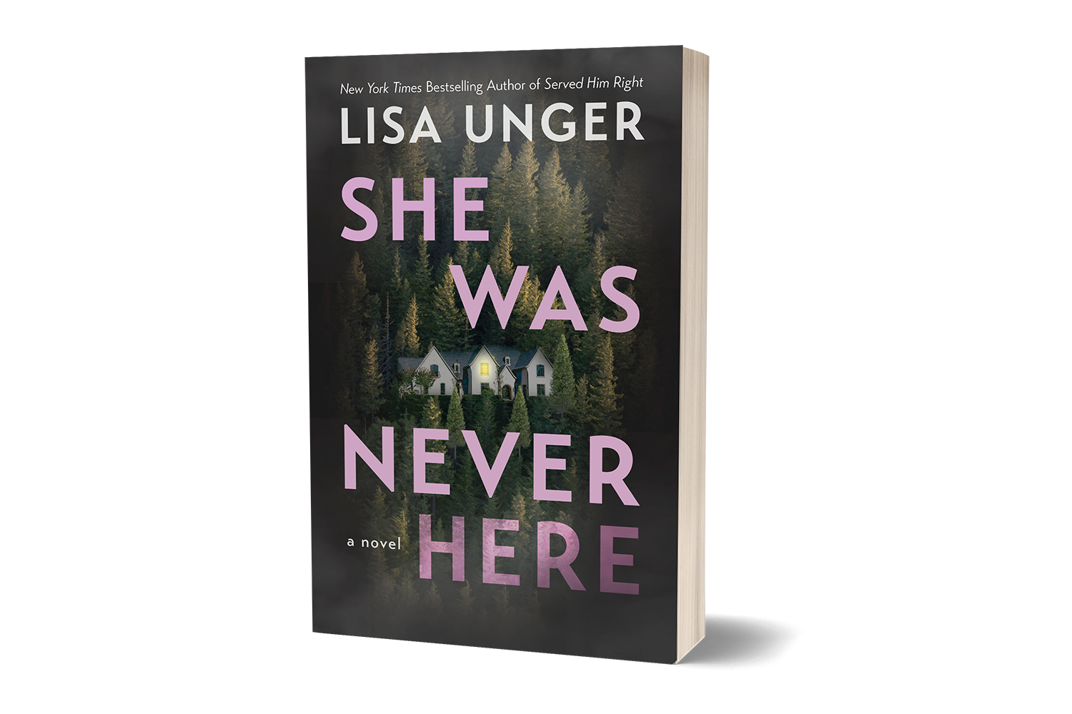 She Was Never Here