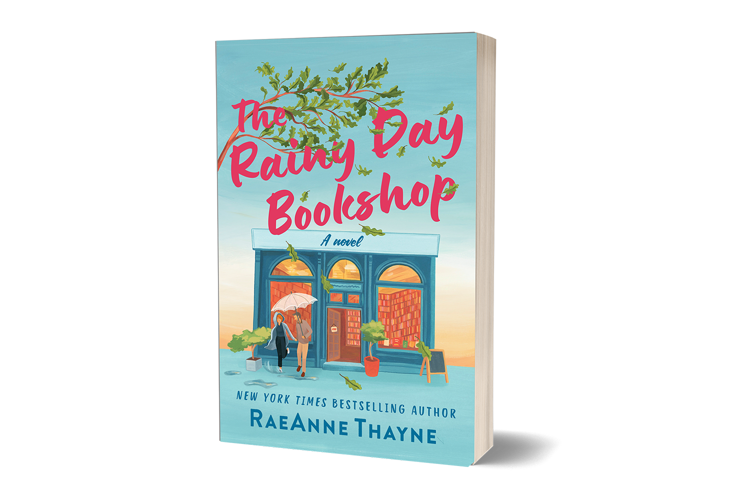 The Rainy Day Bookshop