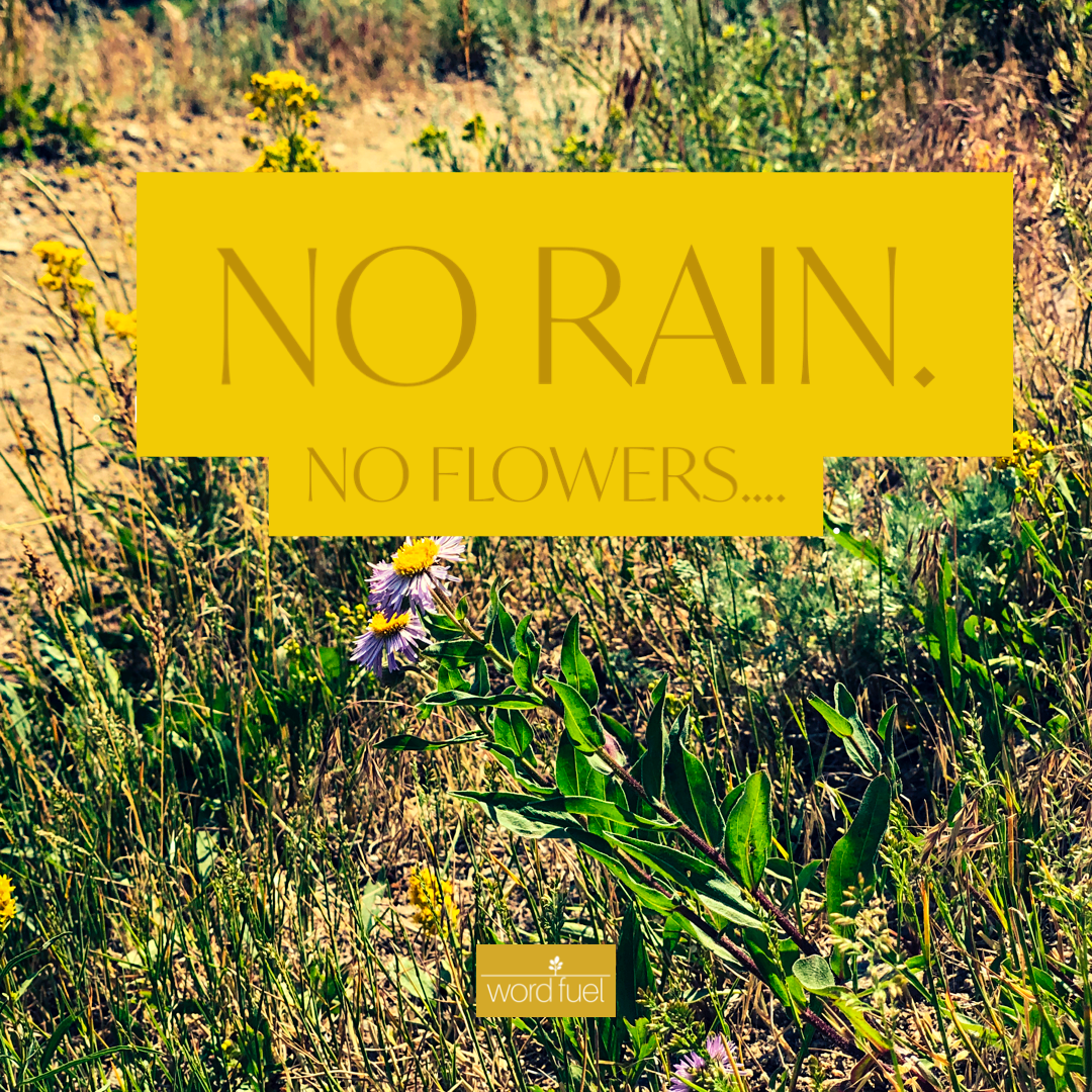 RAIN_wordfuelart_print.jpeg