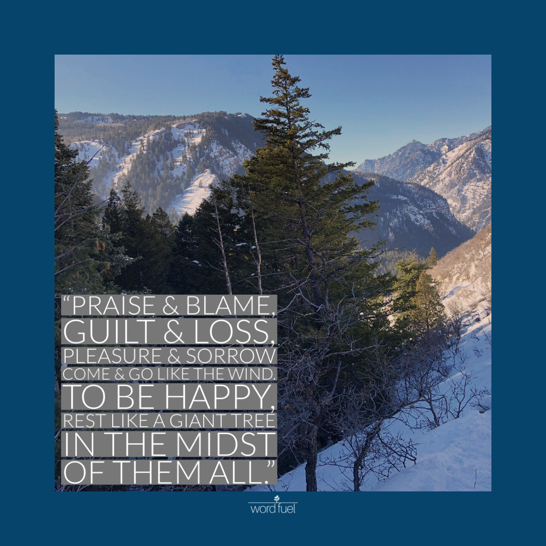 REST (Download)