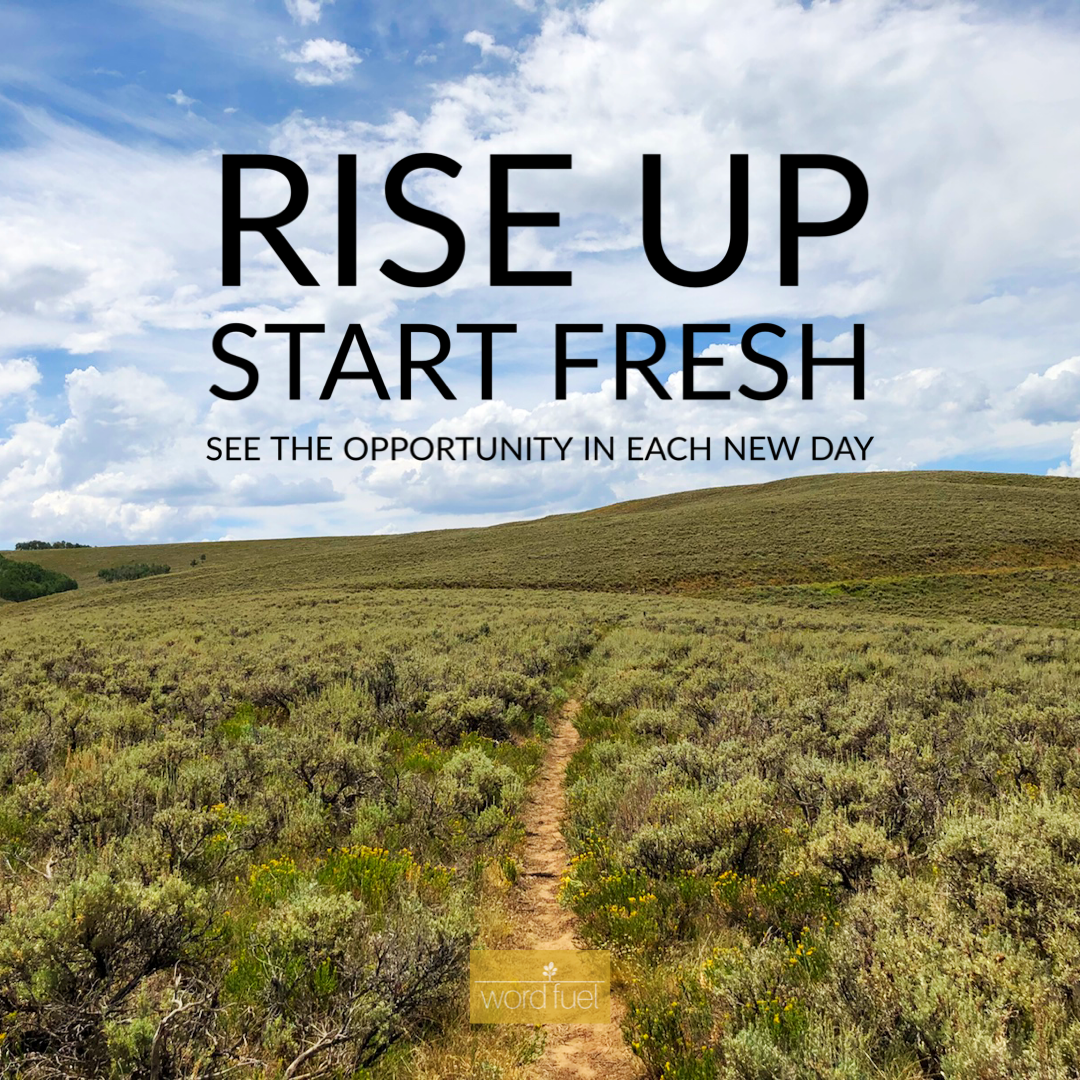 RISE (Download)