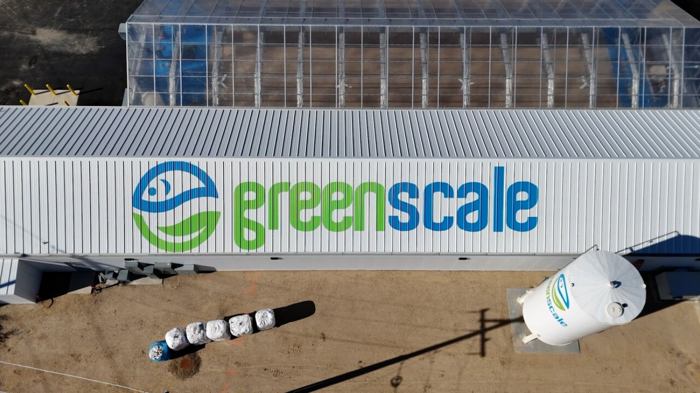 Greenscale: Idaho’s Most Advanced Farm is Growing Indoors