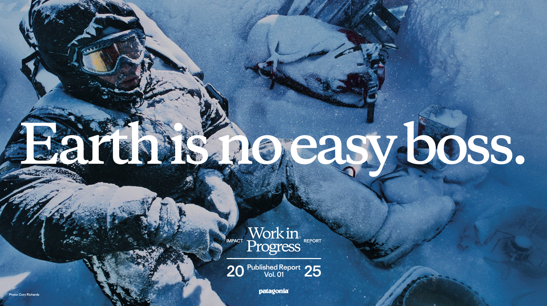 Patagonia’s Progress Report Cliff Notes