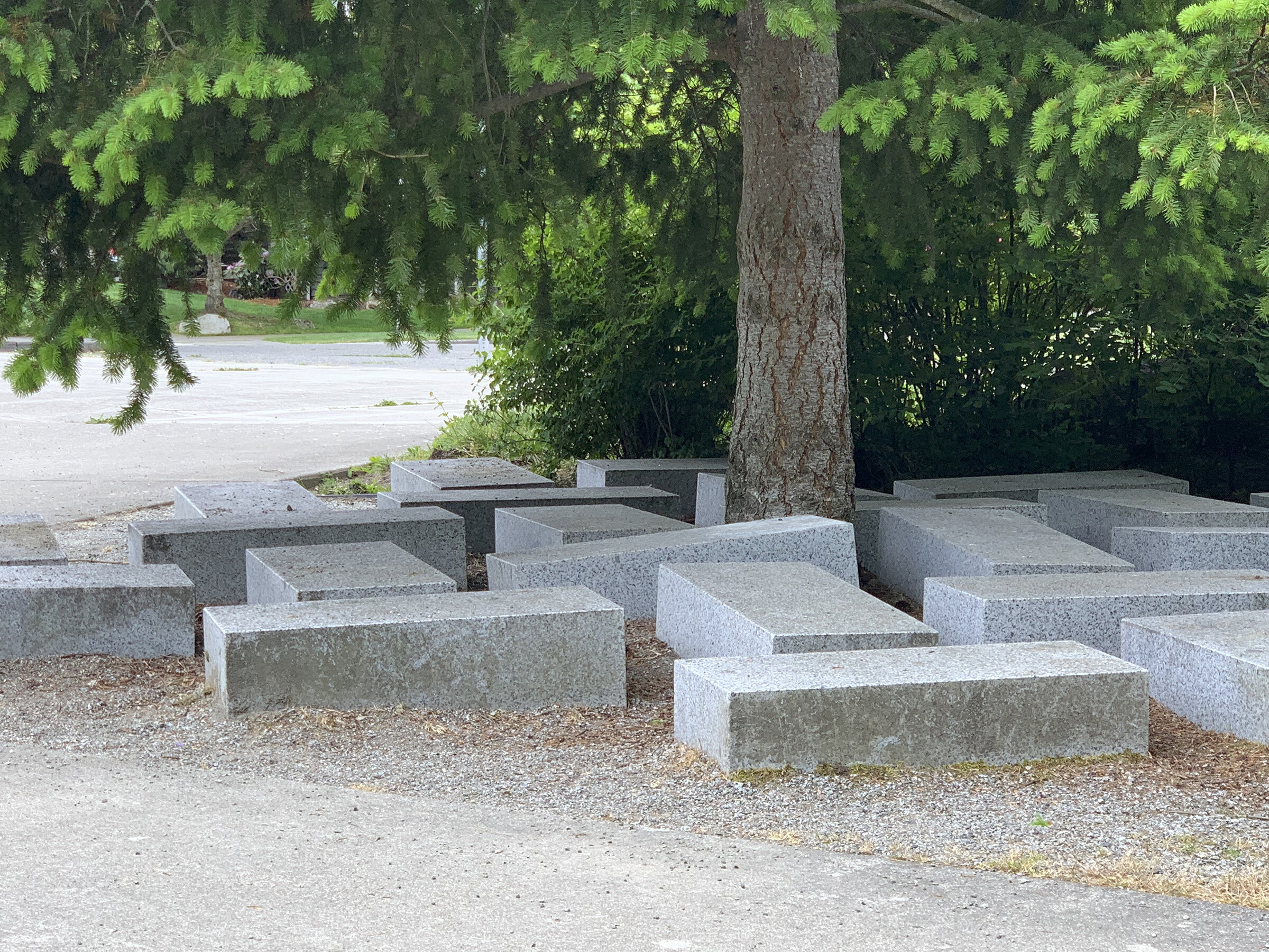 11 years later as the Douglas Fir grows…