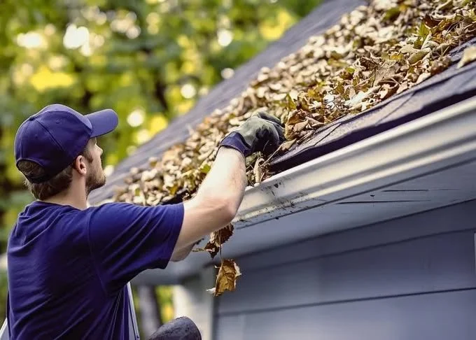 Prepare Now, Save Later: A Homeowner's Guide to Fall
