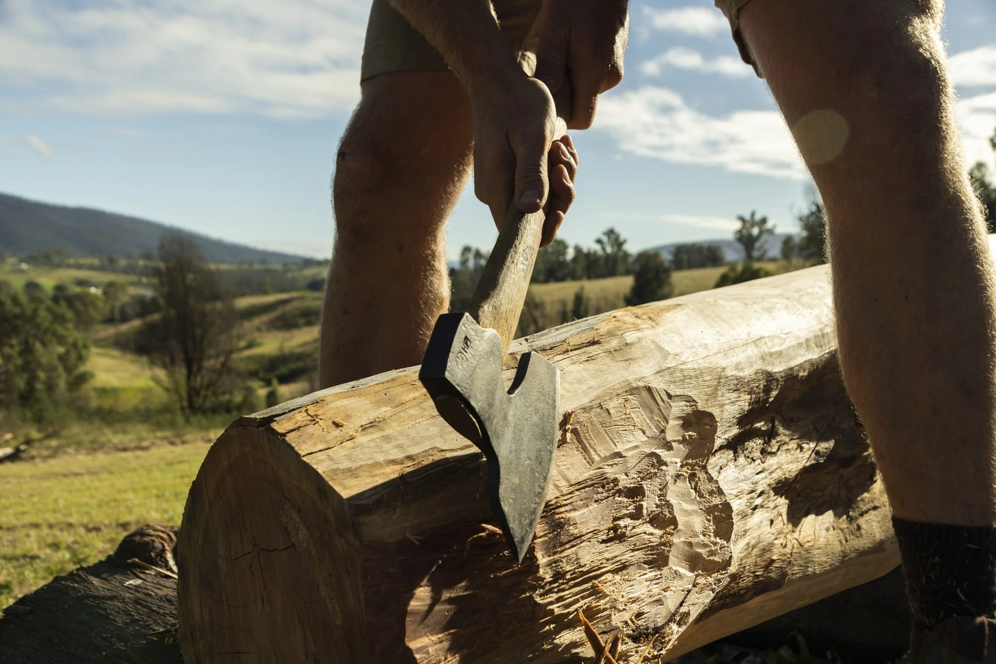 Brand photography for Heartwood Timber in Wandella, Bega Valley photographed by Honey Atkinson