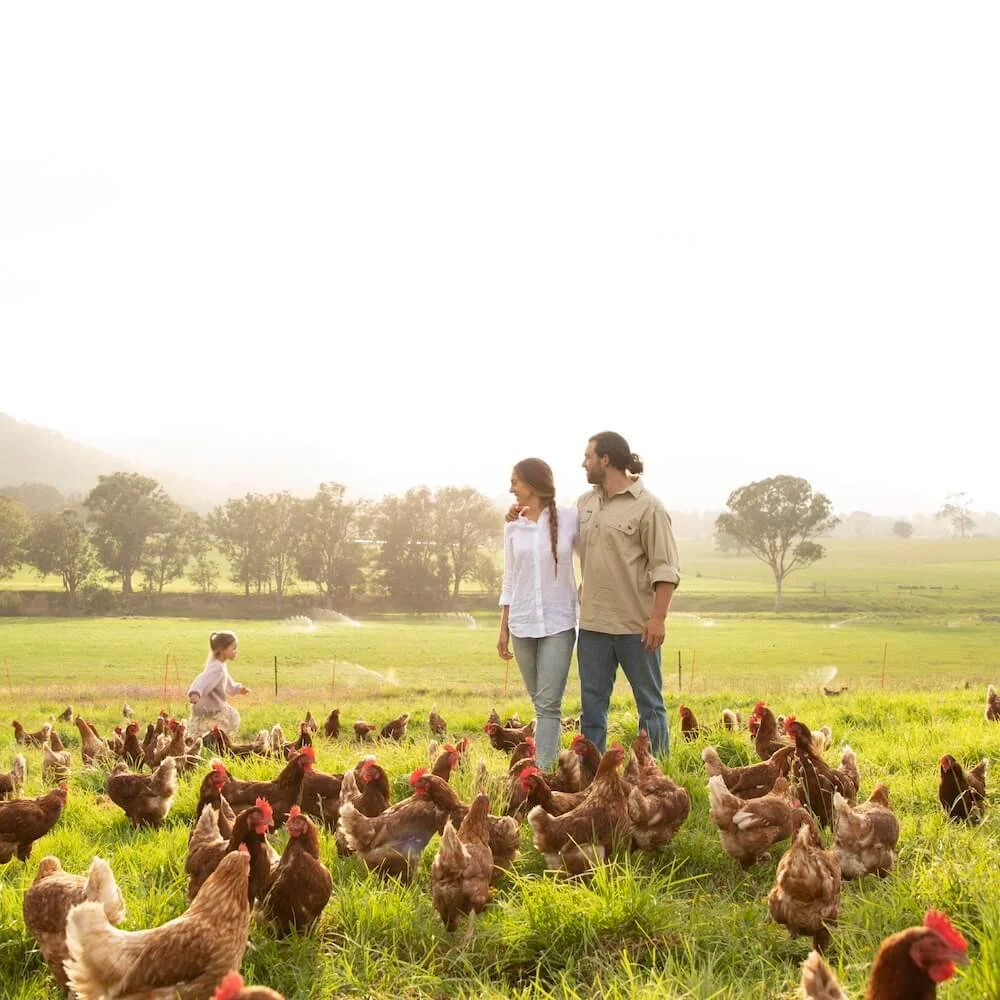 Bega Valley Eggs