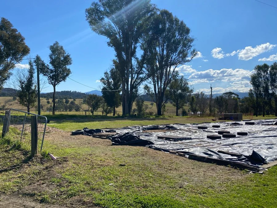 Before photo of our lush veggie garden and orchard - black plastic used to solarise the grass