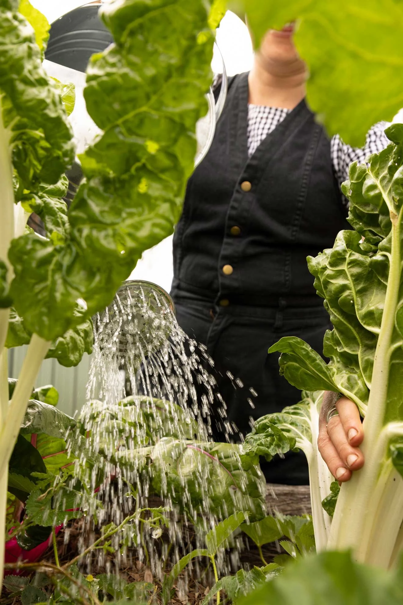 Photo of Composable Kate watering garden from 'The Compost Coach' book photographed by Honey Atkinson