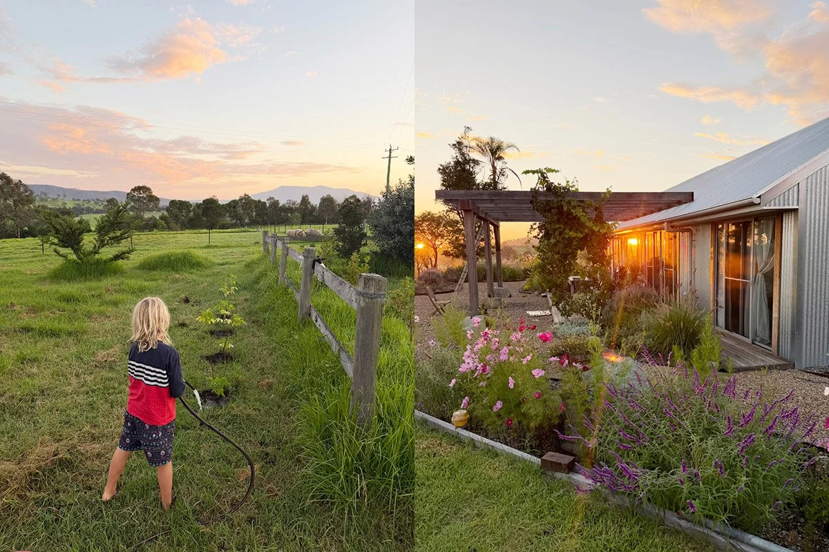 A young child watering newly planted trees at sunset on a rural property on the NSW Sapphire Coast, alongside a golden hour view of a corrugated iron home surrounded by a lush cottage garden — personal lifestyle photography by Honey Atkinson