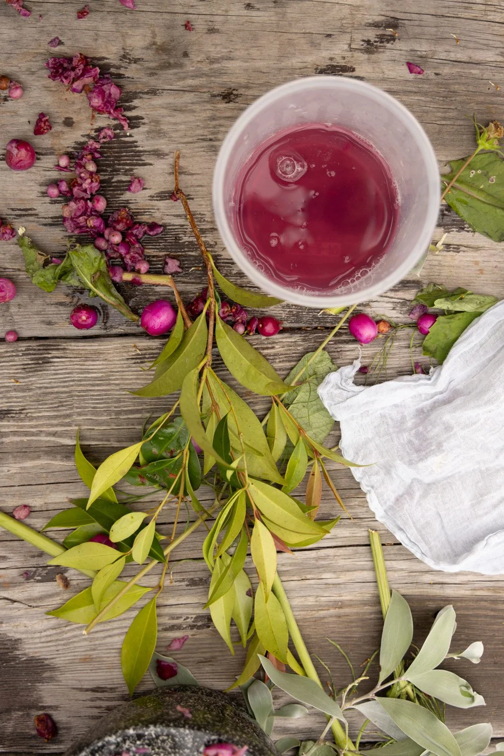 Kids making potions from Lilly Pilly fruit, Bega Valley NSW