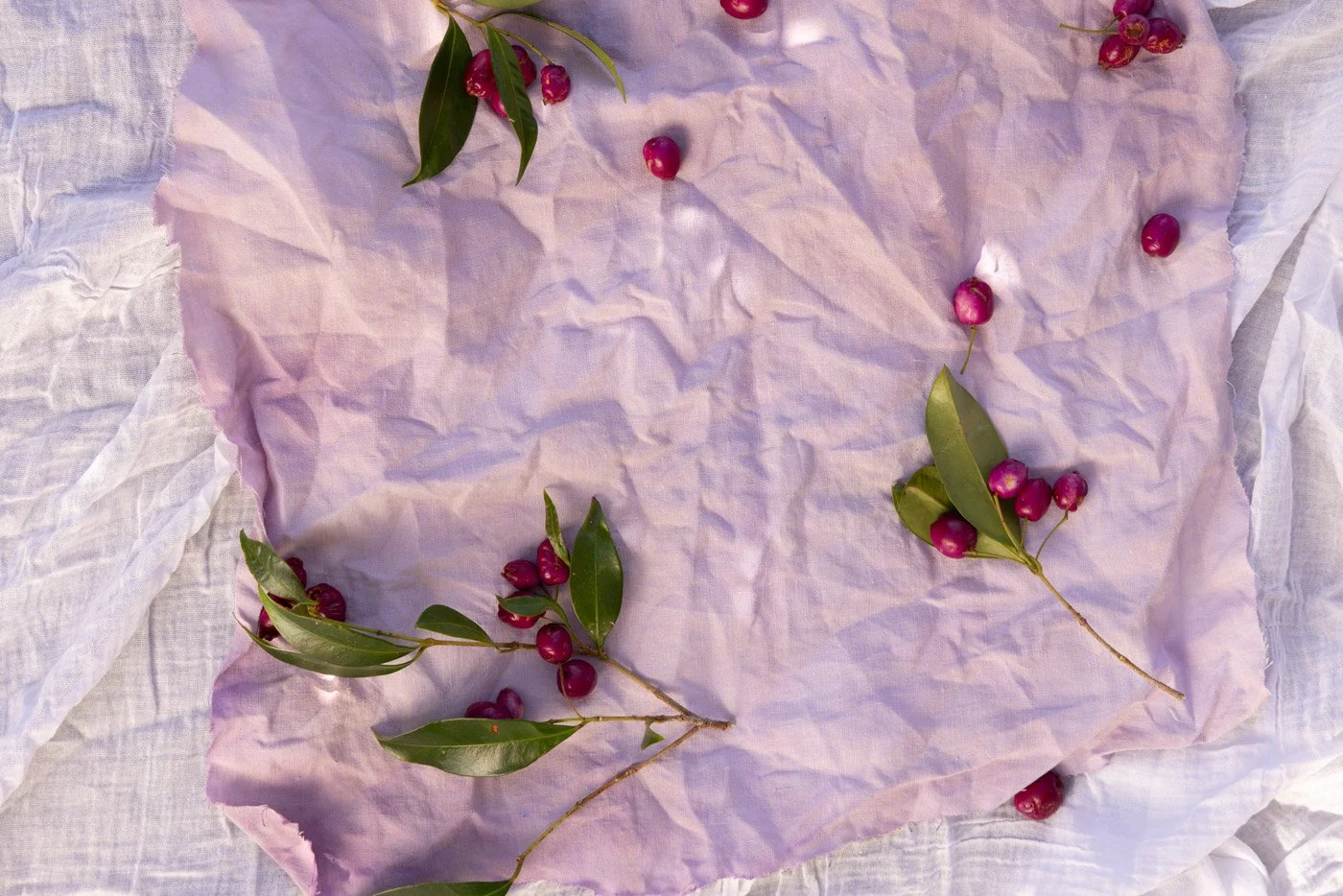 Matching pink fabric with Lilly Pilly fruit, Bega Valley NSW