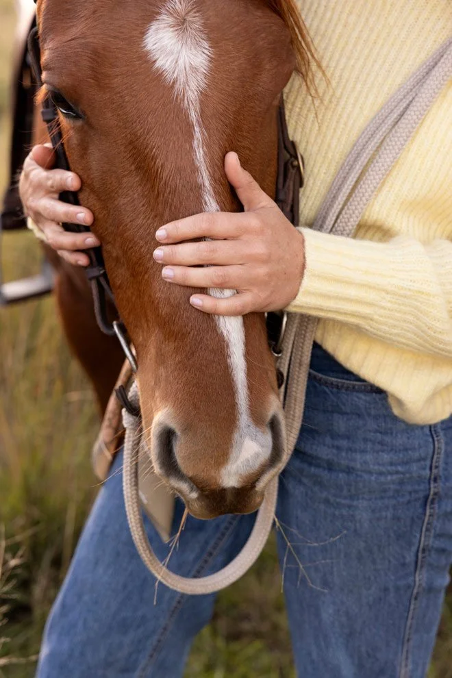 Brand photography detail, hands on horse at Reins to Resilience equine resilience program for women and teens, Candelo NSW