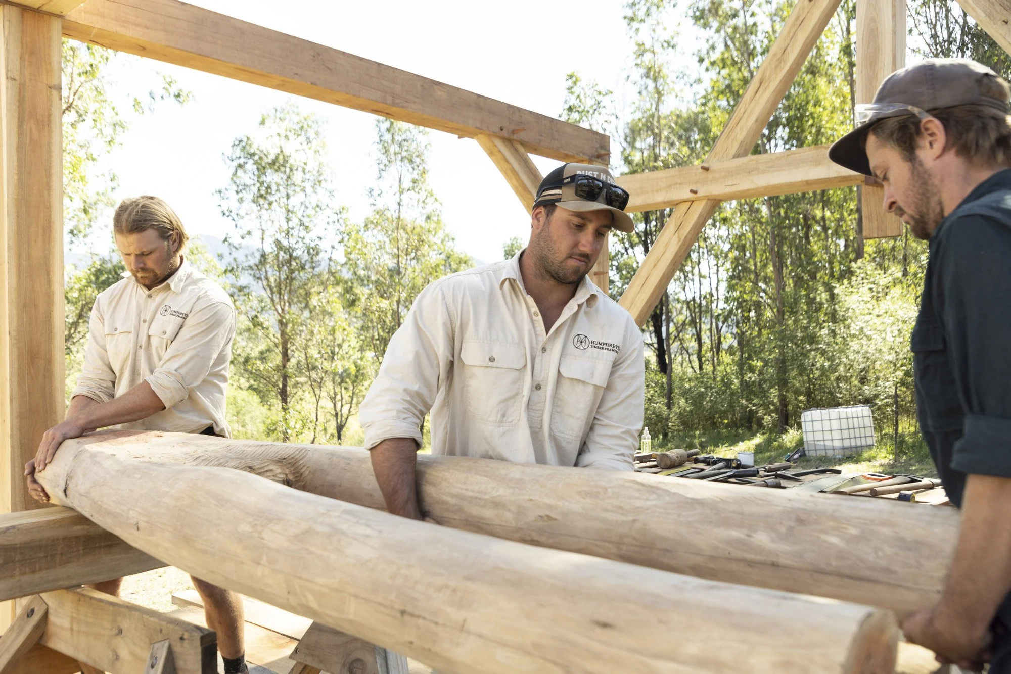 Brand photography for Heartwood Timber in Wandella, Bega Valley photographed by Honey Atkinson