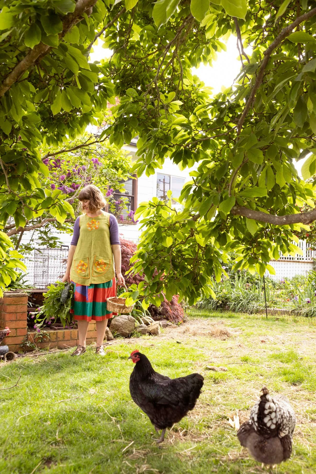 Lifestyle photo of a backyard garden scene from Compost Coach Book photographed by Honey Atkinson