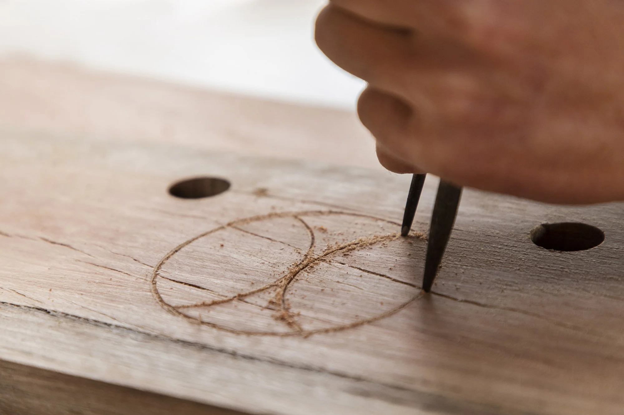 Brand photography for Heartwood Timber in Wandella, Bega Valley photographed by Honey Atkinson